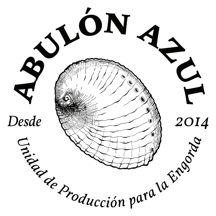 icon4