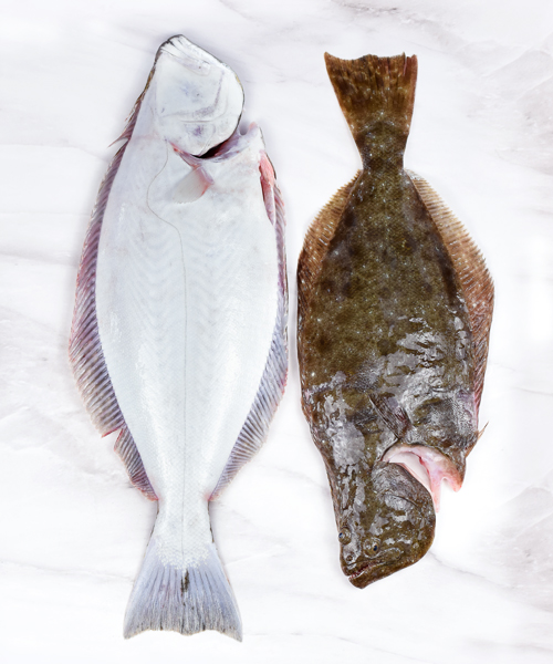 Lenguado